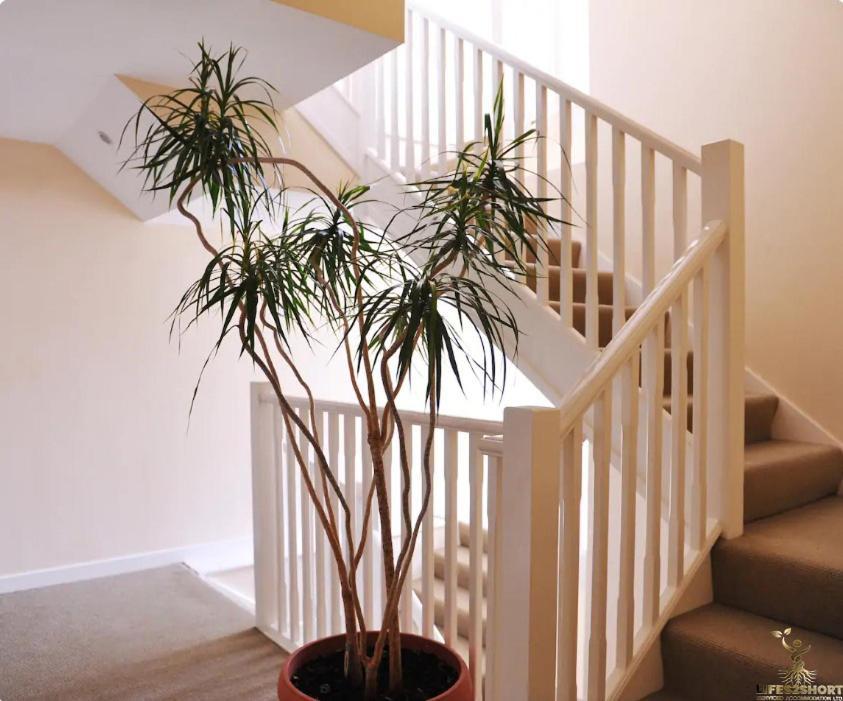 Smythen St, 2 Bed Apartment With Balcony Exeter Exteriör bild